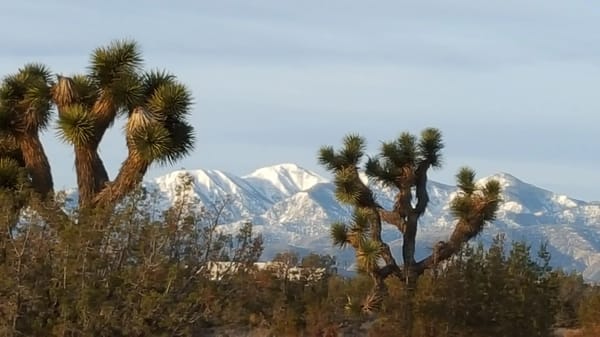 Assisted Living in Hesperia, CA