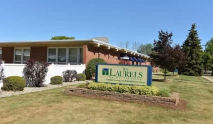 Laurels of Mt Pleasant