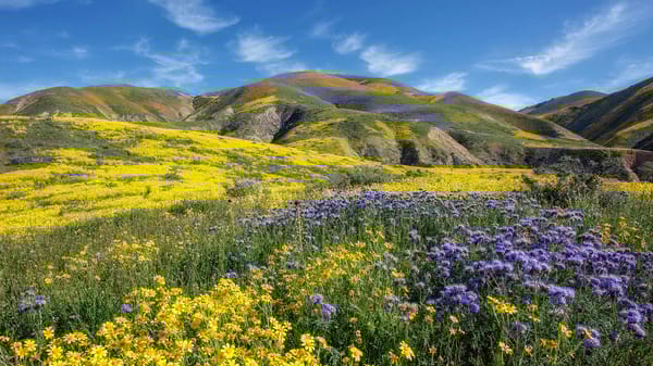 Hospice Care in Los Angeles County, CA
