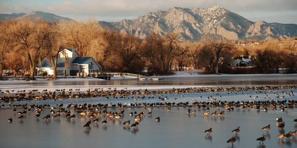Assisted Living in Lafayette, CO