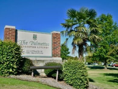 The Palmettos