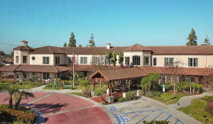Ivy Park at La Palma