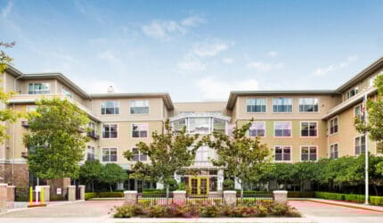 Ivy Park at Palo Alto