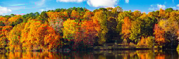 Assisted Living in Gastonia, NC
