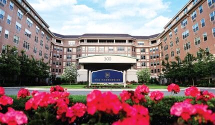 The Harborside