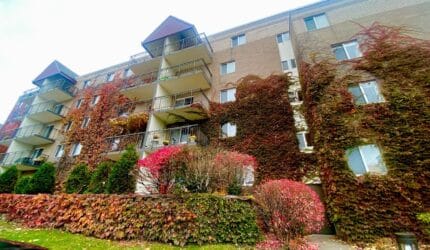 Vernon Terrace of Edina