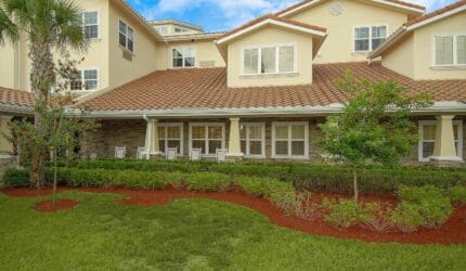 Windward Palms
