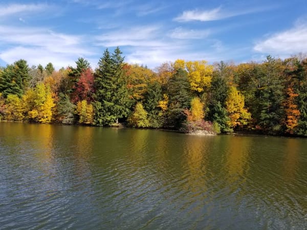 Assisted Living in Chestnut Ridge, NY