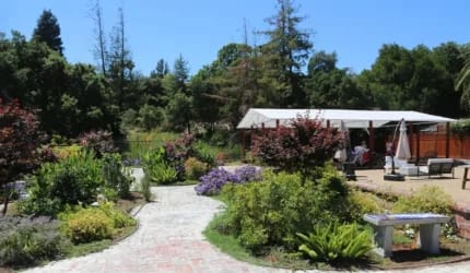 Elder Ashram