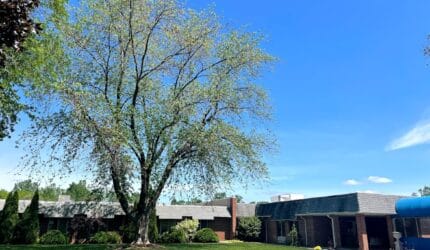 Majestic Care of Flushing Assisted Living