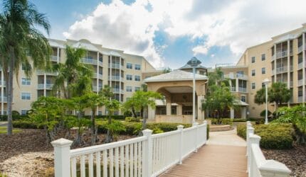 Regal Palms