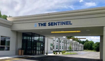 The Sentinel of Port Jervis