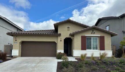 Safe Haven – Oakley