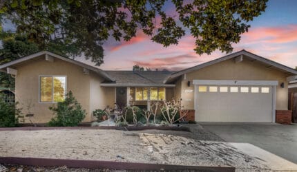 Safe Haven – Sunnyvale
