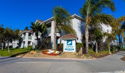 Seawind Seniors