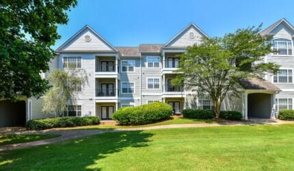 Avana North Point