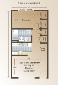 1 Bedroom Apartment