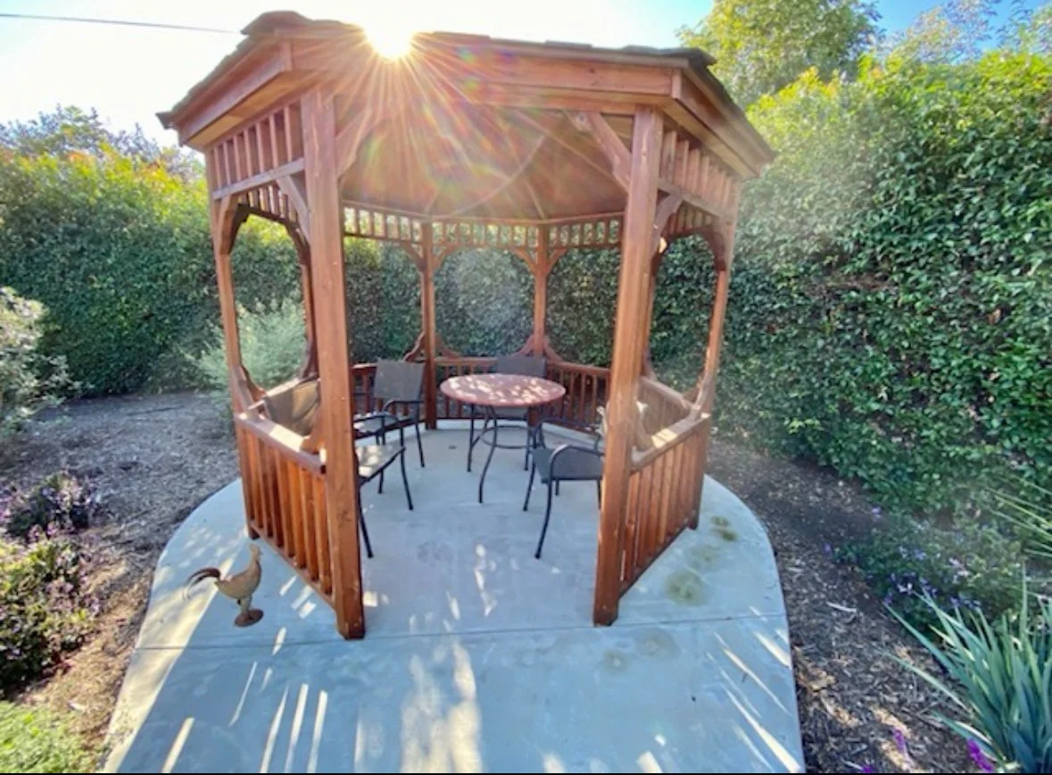Wooden gazebo surrounded by greenery