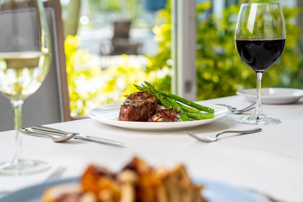 Savoring a gourmet meal with wine in a dining area
