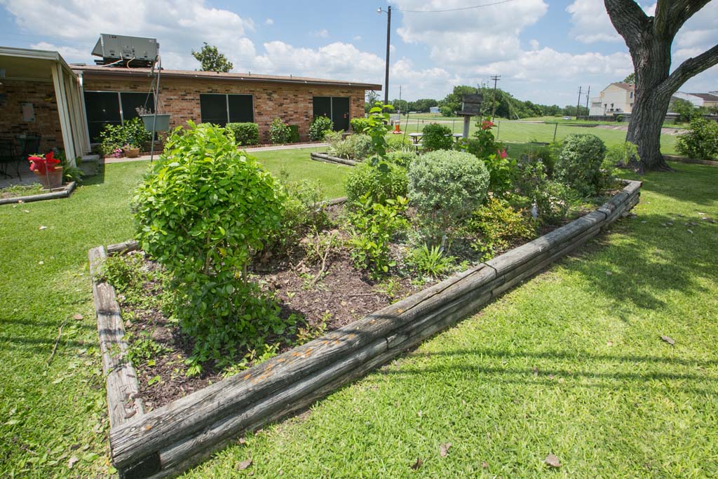 Well-maintained garden area with green plants