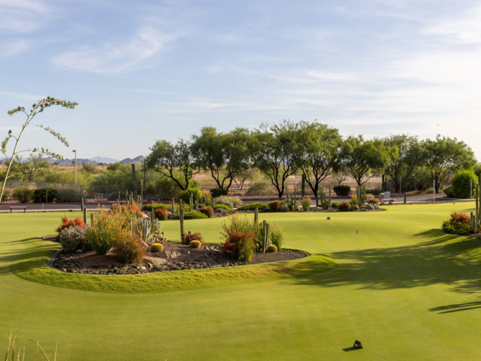 Well-manicured outdoor space with landscaping