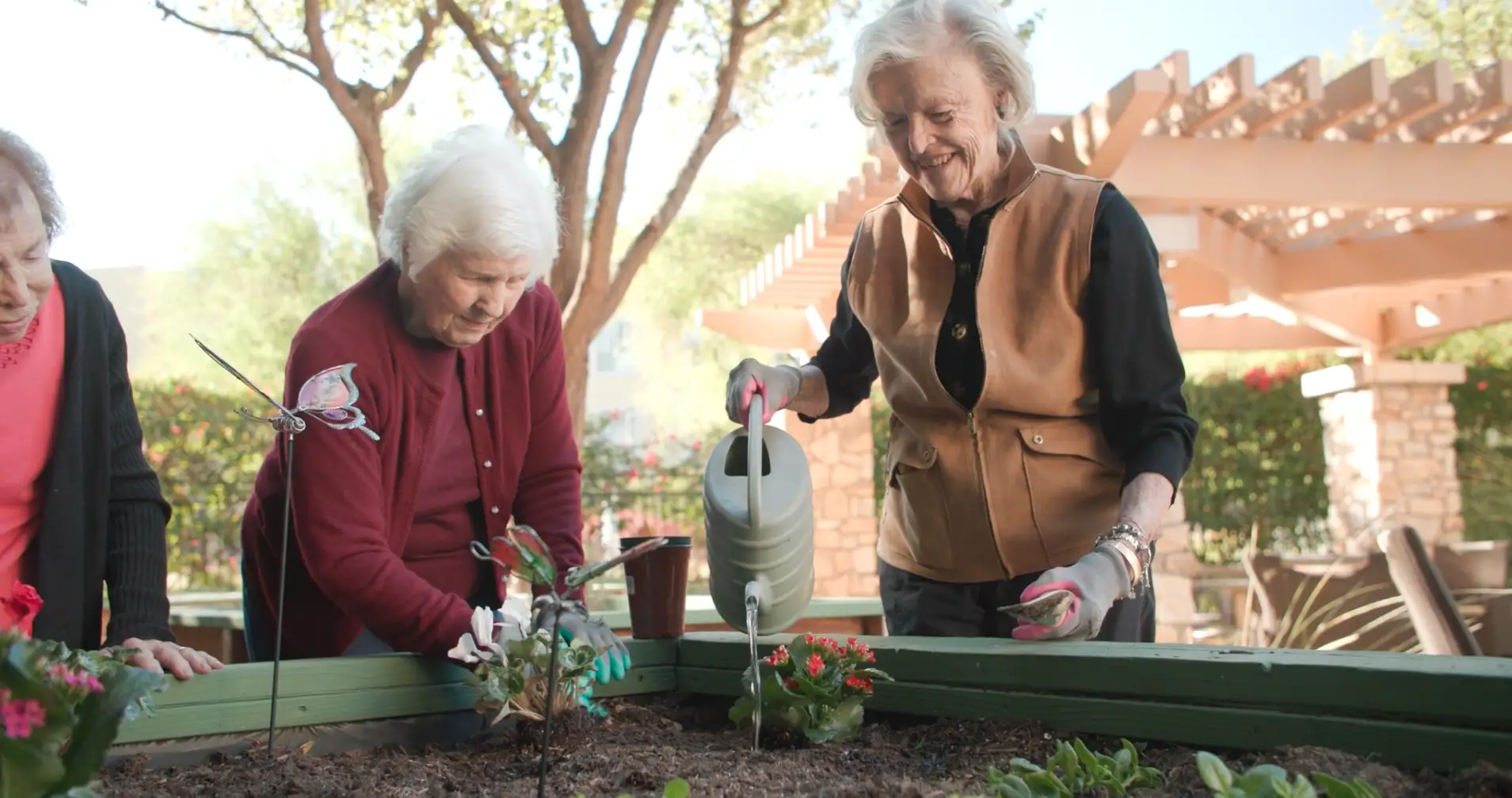 Residents gardening together in a sunny outdoor space