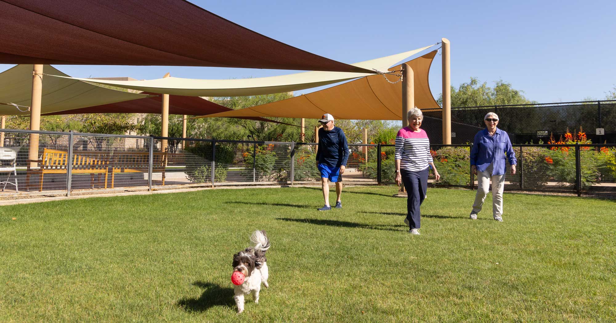 Residents enjoying a sunny outdoor space with a dog