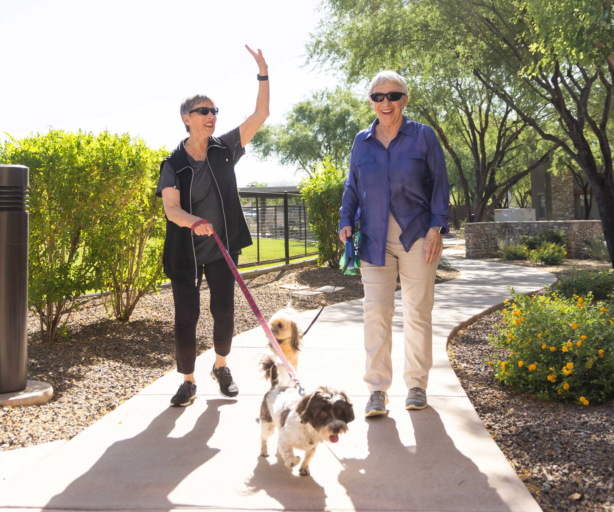Two women walking dogs along a sunny path