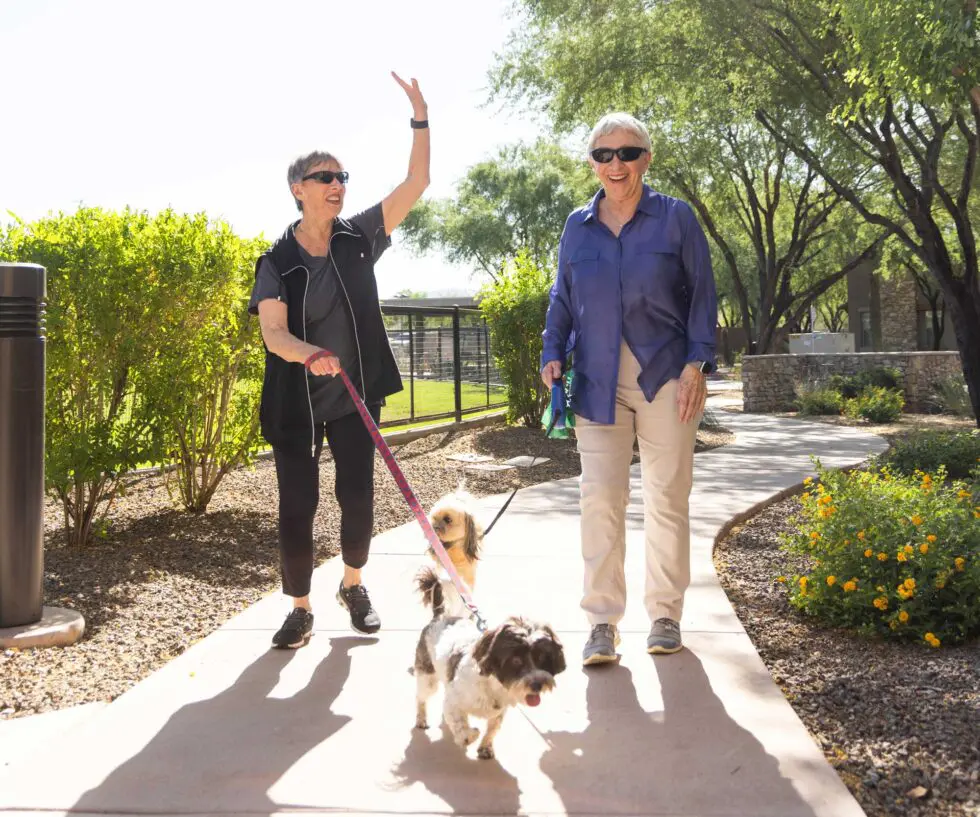 Residents walking dogs in a sunny garden path