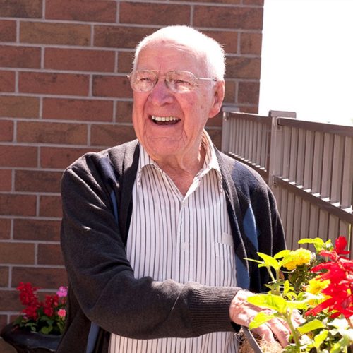 Elderly man smiling while tending to flowers.
