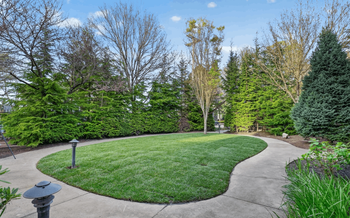 Well-maintained garden pathway in a lush setting.