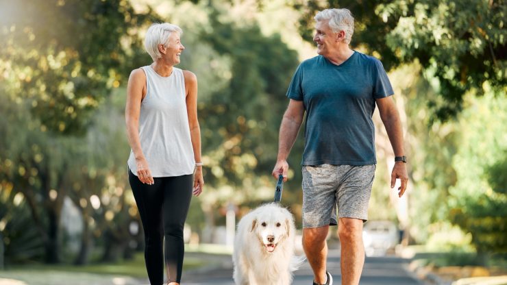 Two seniors walking a dog in a park
