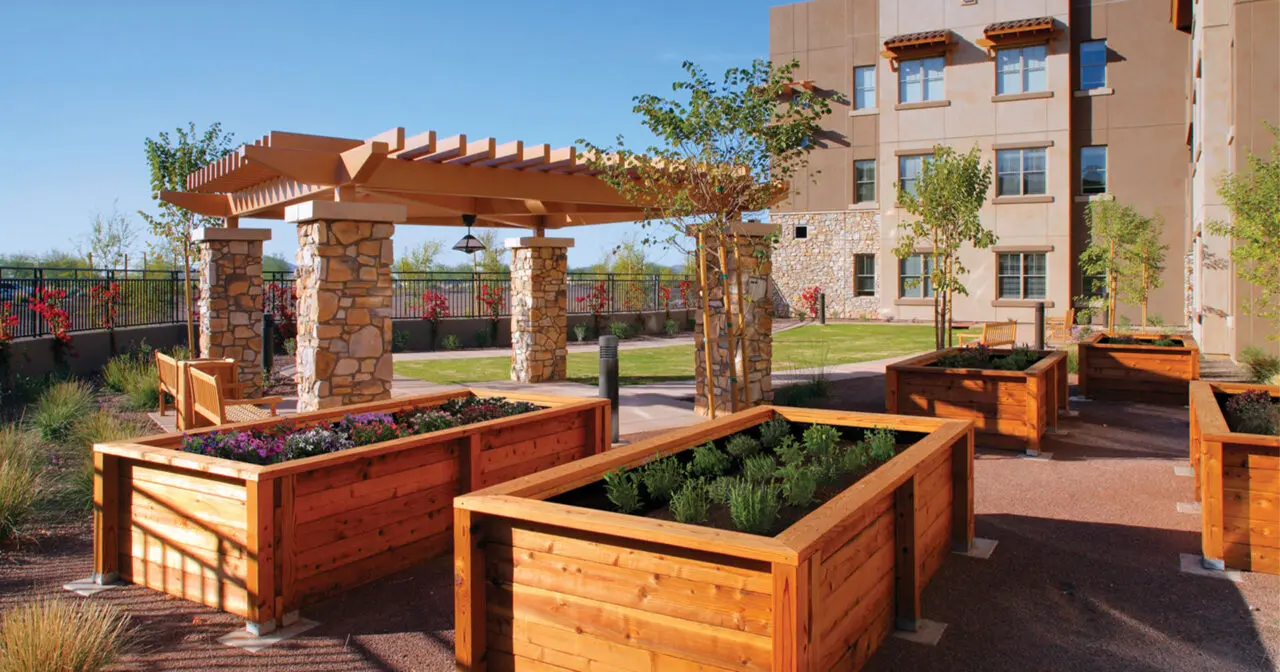 Outdoor garden area with raised planter boxes