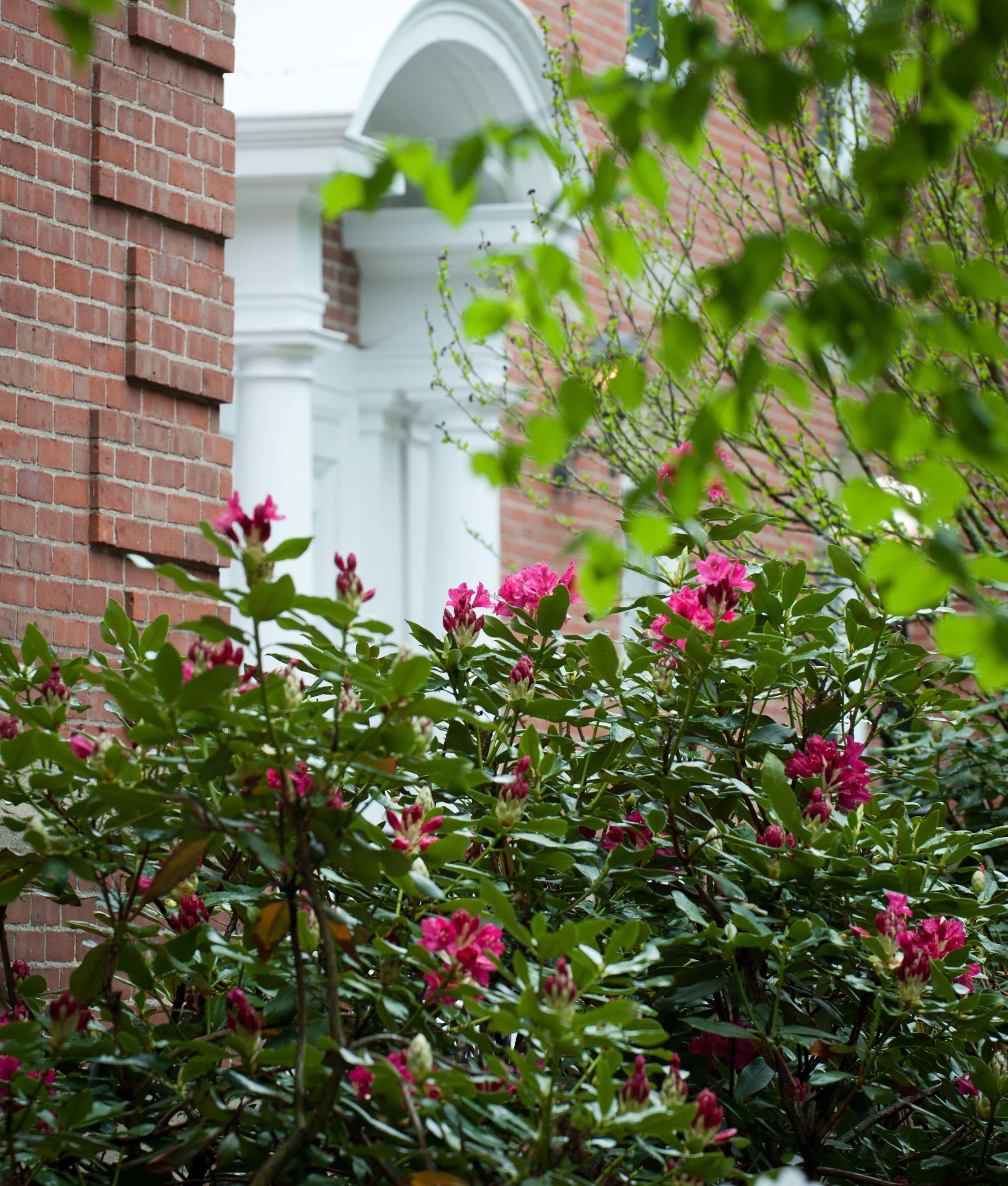 Colorful flowers near the entrance of the facility