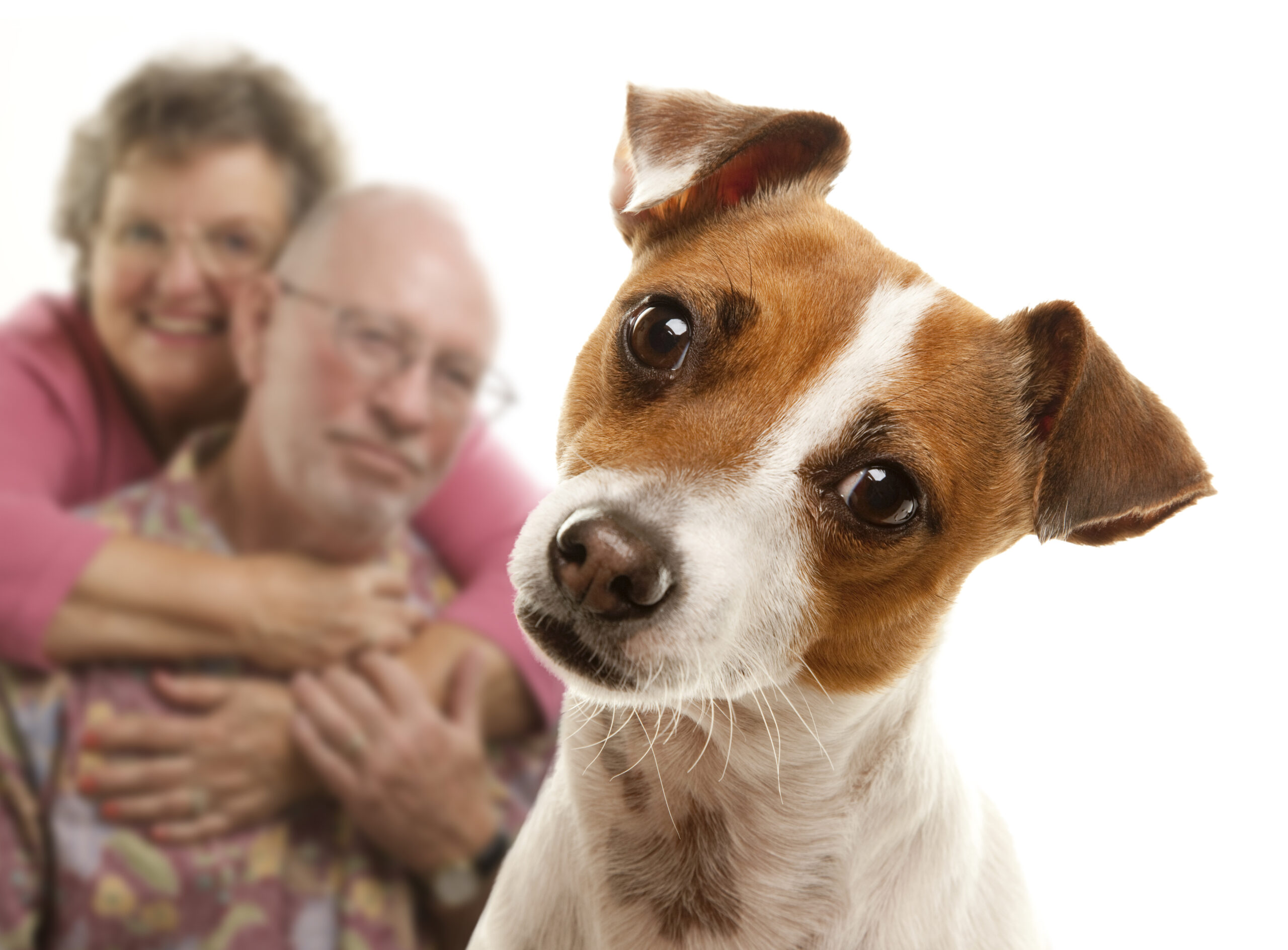 A couple with their dog, smiling happily