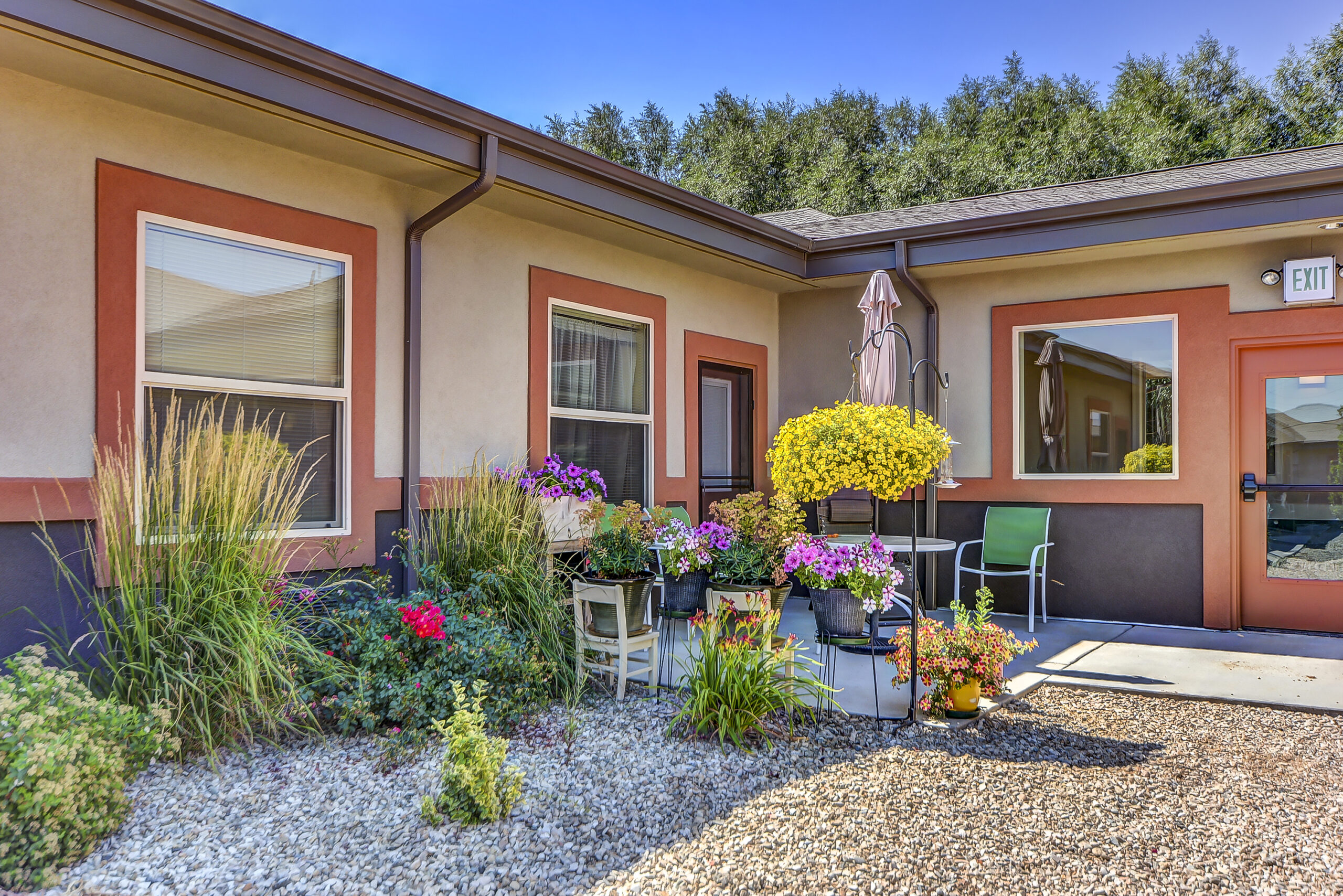 A colorful outdoor garden space with flowers