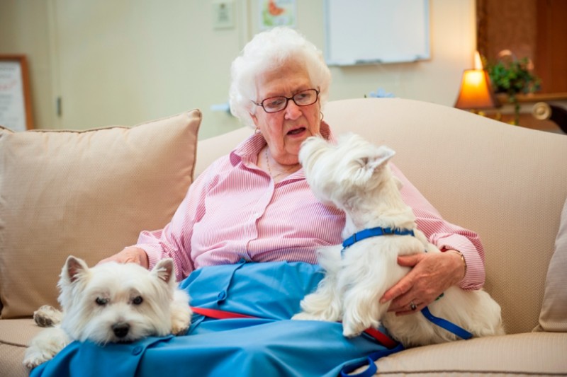 Senior woman enjoying time with two dogs on a couch.