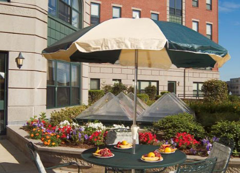 Outdoor dining setup with food and flowers