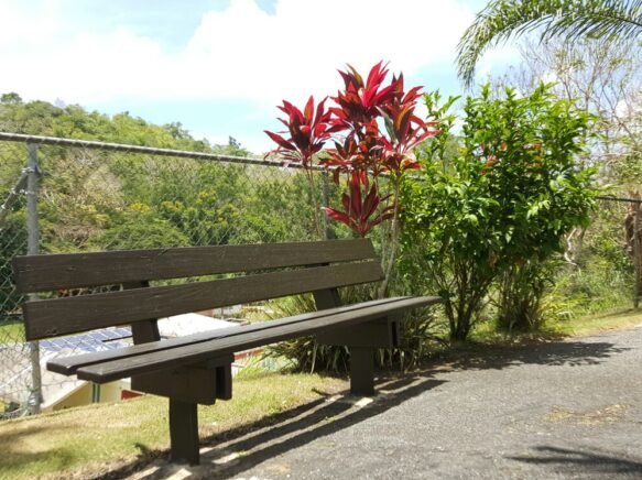 Outdoor bench with plants and flowers