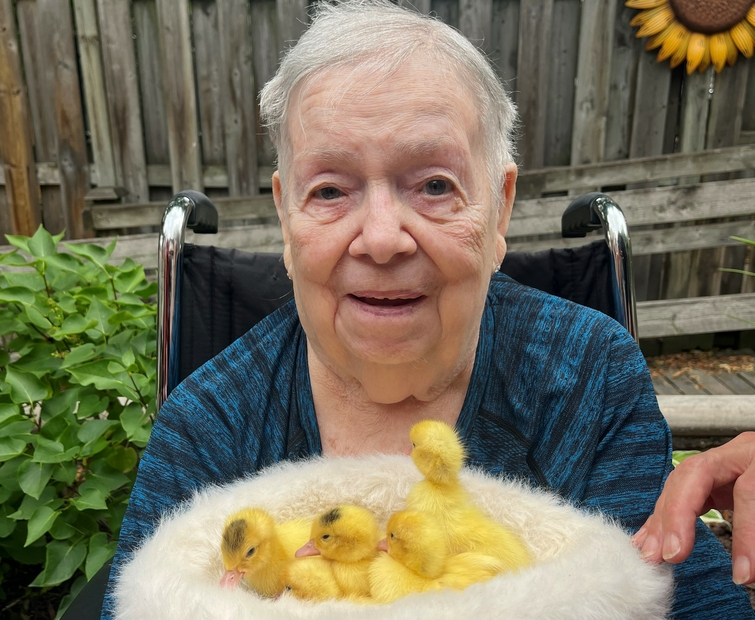 Senior woman smiling with ducklings in her lap