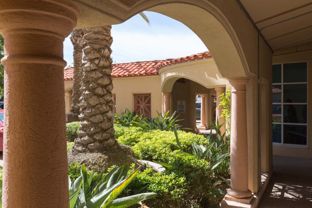 Entrance with palm trees and vibrant greenery.