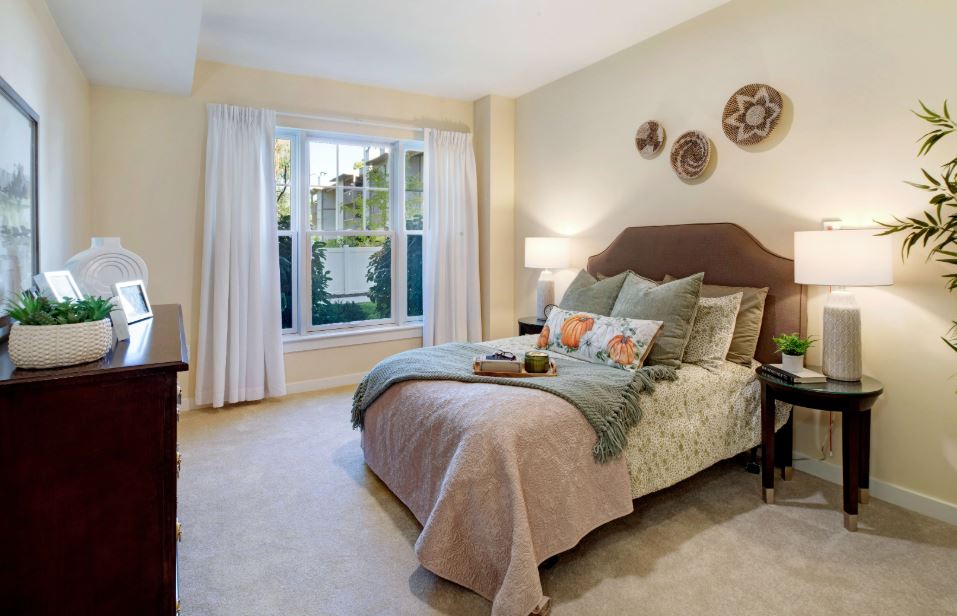 1 Bed