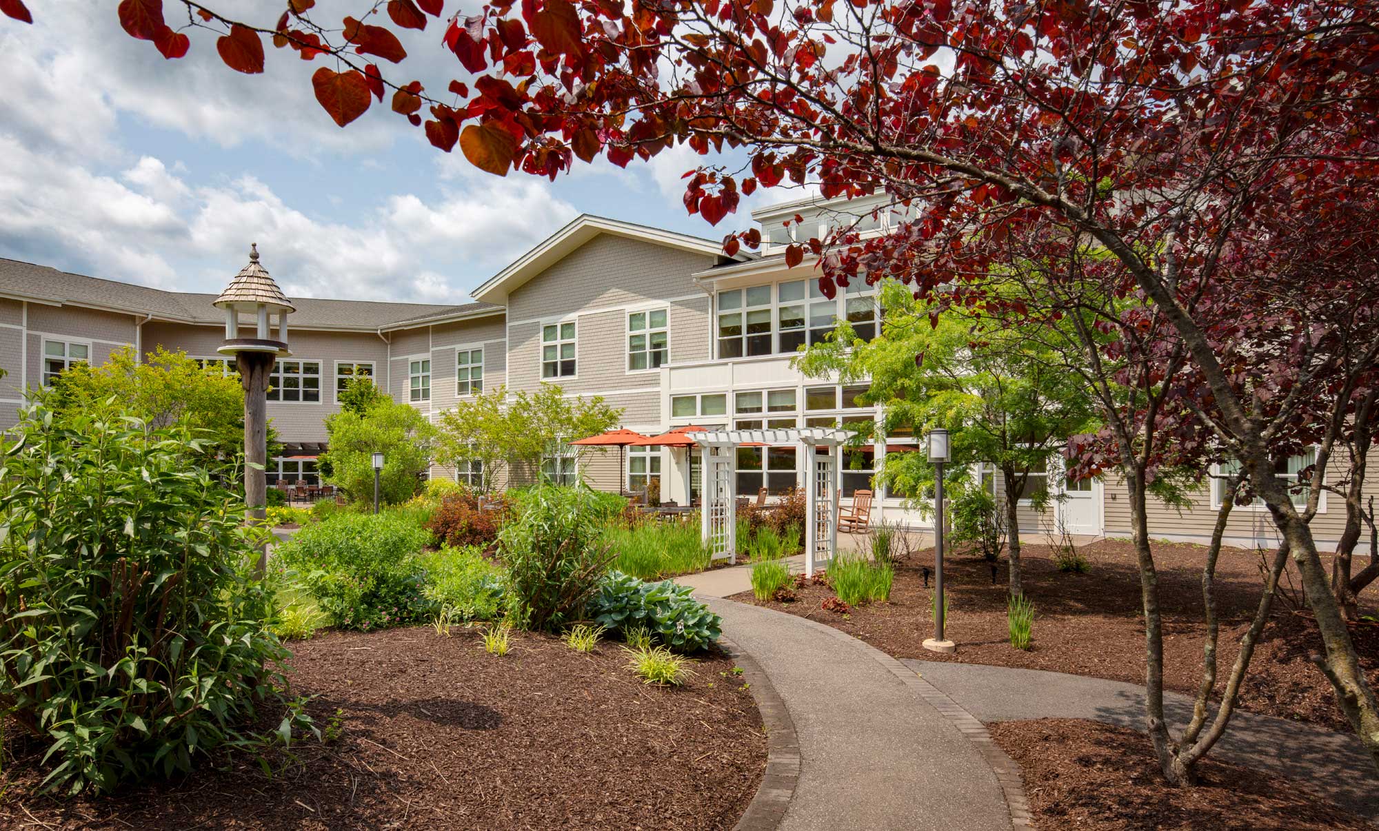 Pathway through a landscaped outdoor space