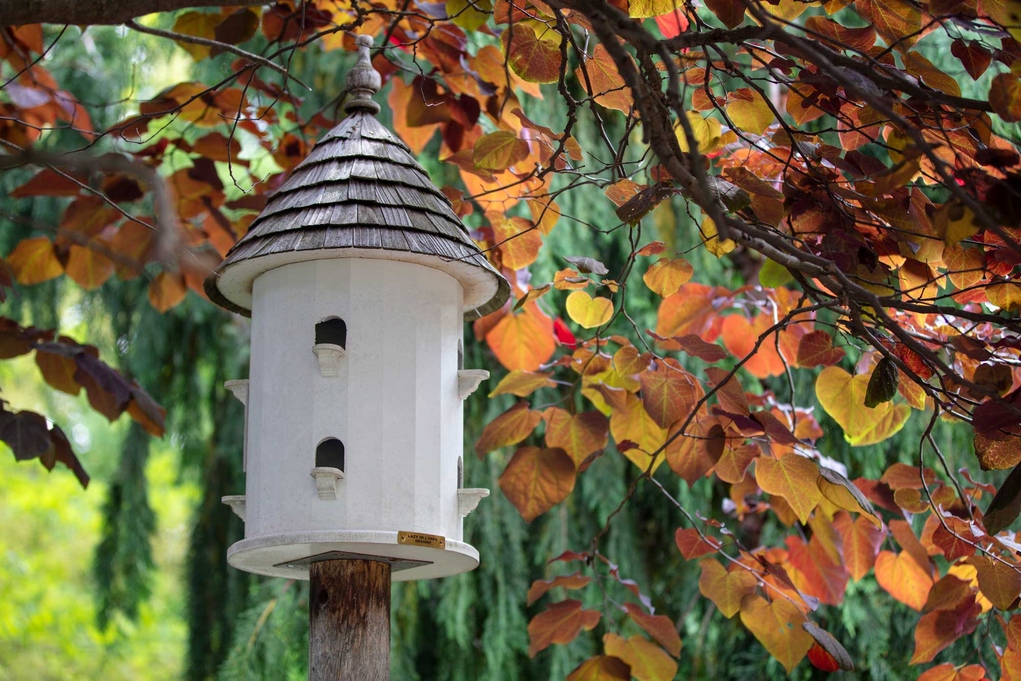Decorative birdhouse among colorful autumn leaves.