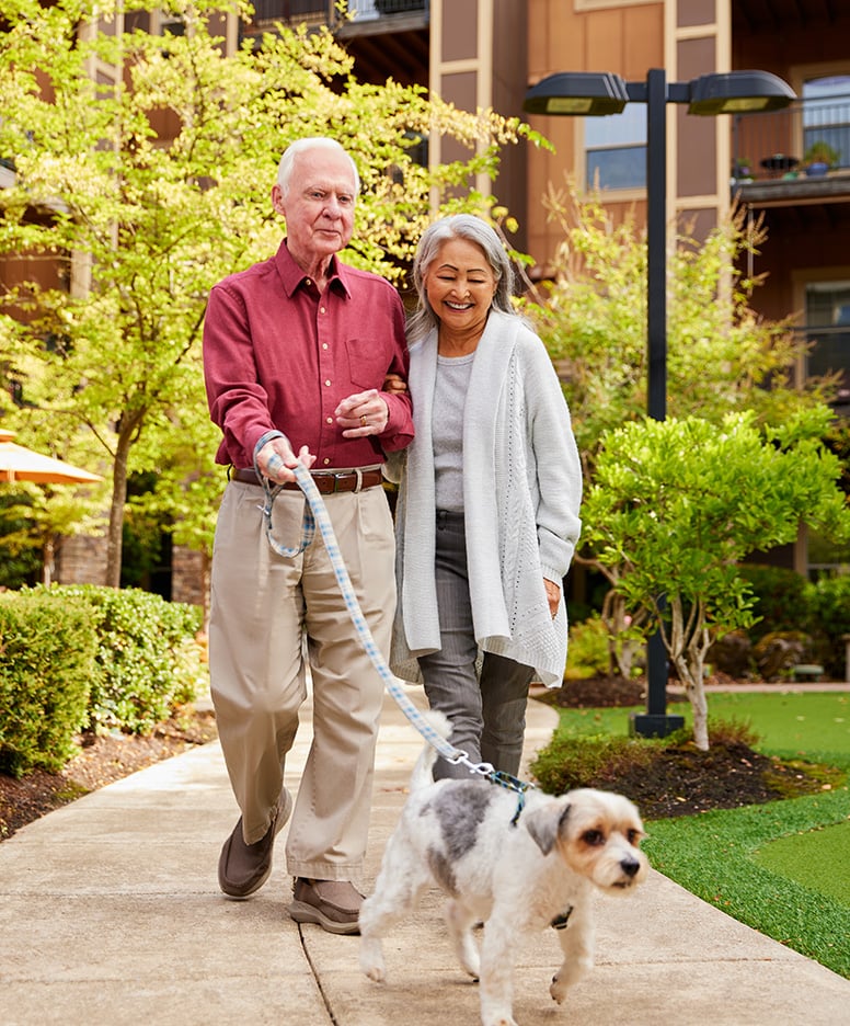 Couple walking a dog in a lush outdoor space