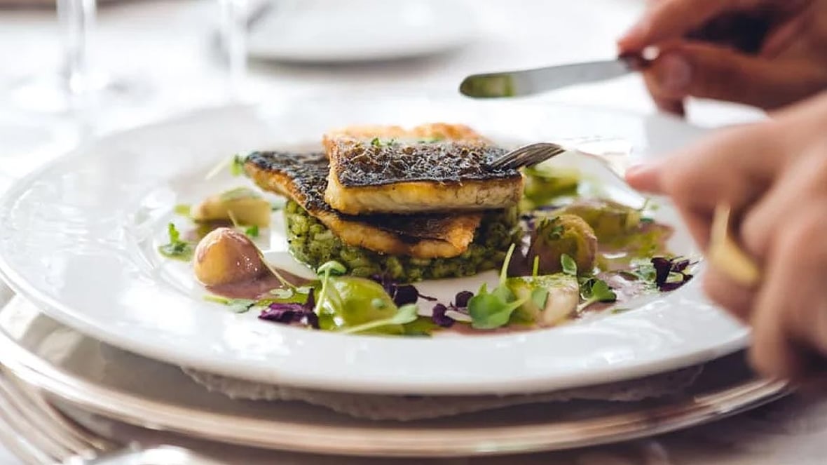 Gourmet meal with fish and vegetables on a plate