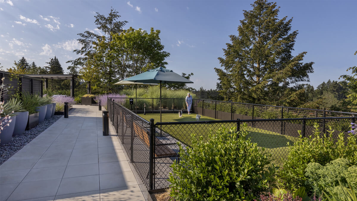 Outdoor space with a resident and landscaped areas