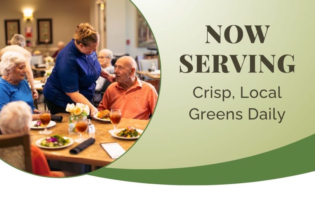 Residents enjoying meals in a dining area