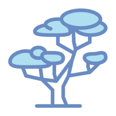 Graphic of a stylized tree