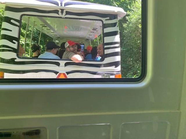 Residents enjoying a tram ride in a park setting.